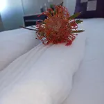 Palm Tree